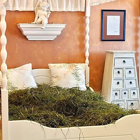 Genuss - Und Vitalhotel Moisl Hotell Abtenau